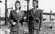 纳粹女在线观看,揭秘历史阴影下的女性角色